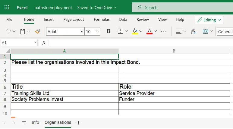 impact_bonds_excel_organisation_info.webp
